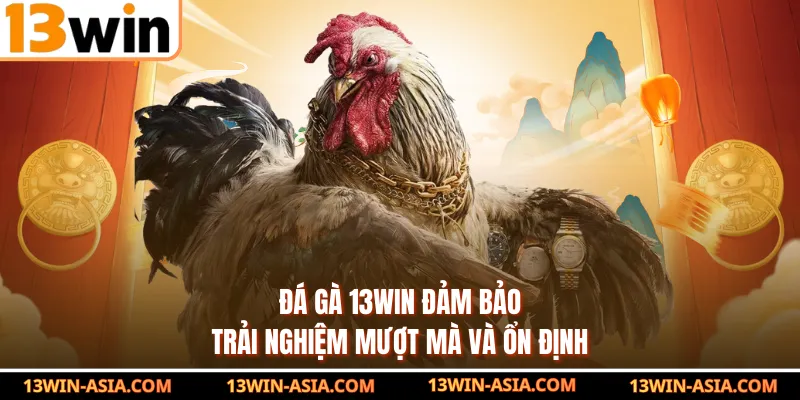 Đá gà 13Win đảm bảo trải nghiệm mượt mà và ổn định
